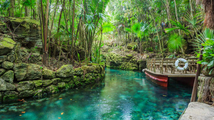 Image of Jungle, Nature, Outdoors, Vegetation, Land, Rainforest, Tree, Lagoon, Lake, Water, Summer, Scenery, Boat, Vehicle, Hotel, Resort, Pond,