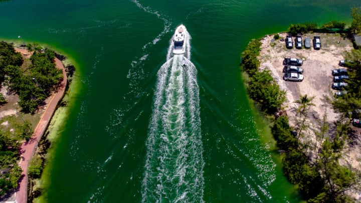 Image of Nature, Outdoors, Sea, Water, Scenery, Land, Vehicle, Yacht, Vegetation, 