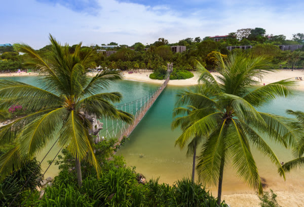 Image of Summer, Outdoors, Nature, Sea, Water, Vegetation, Scenery, Tree, Tropical, Palm Tree, Shoreline, Coast, 