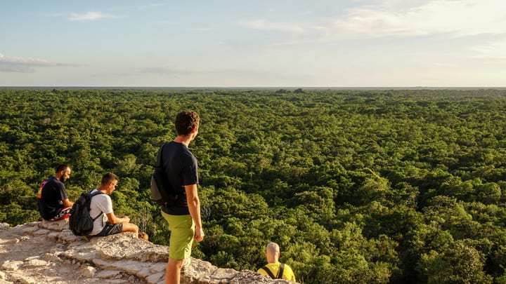 Image of Adventure, Hiking, Nature, Outdoors, Person, Vegetation, Backpack, Bag, Land, Tree, Woodland, Adult, Male, Man, Rainforest, Scenery, Shorts,