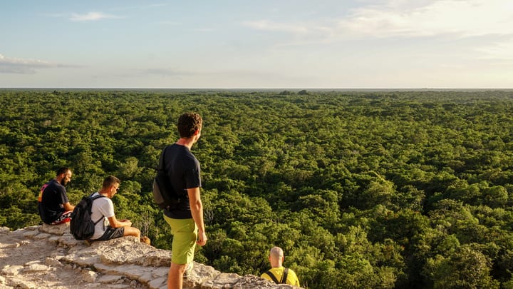 Image of Adventure, Hiking, Nature, Outdoors, Person, Vegetation, Backpack, Bag, Land, Tree, Woodland, Adult, Male, Man, Rainforest, Scenery, Shorts, 