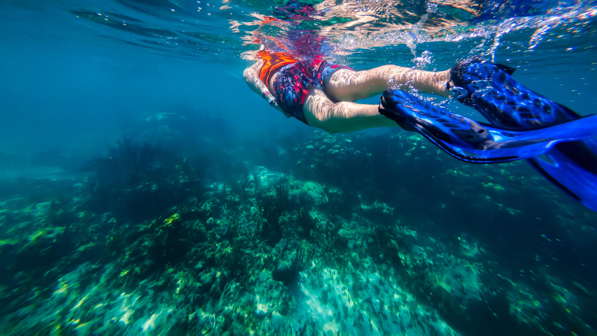 Image of Person, Swimming, Water, Water Sports, Nature, Outdoors, Underwater, Adult, Female, Woman, 