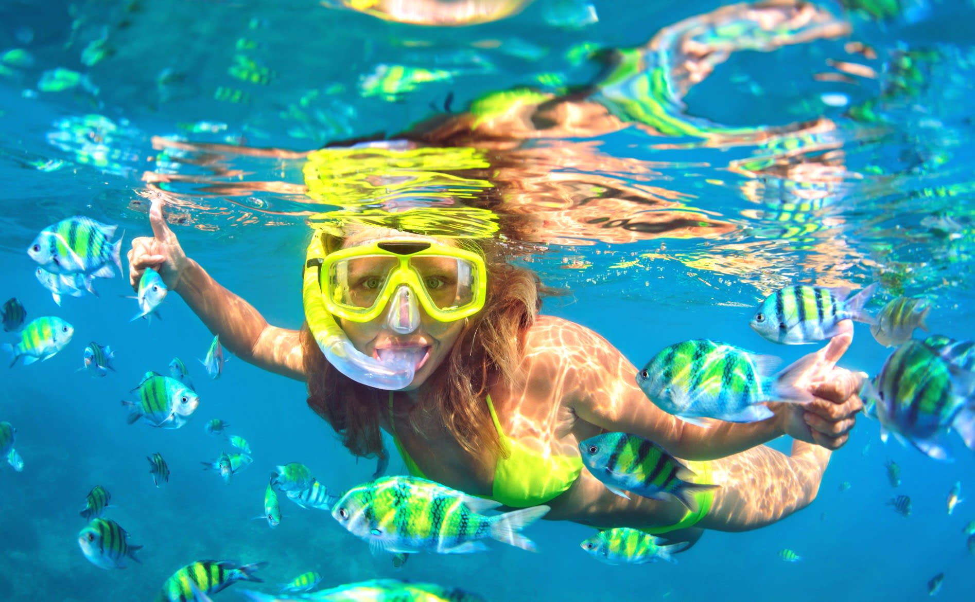 Image of Nature, Outdoors, Water, Person, Swimming, Water Sports, Underwater, Snorkeling, Adult, Female, Woman, Animal, Fish, Sea Life, Accessories, Glasses, 