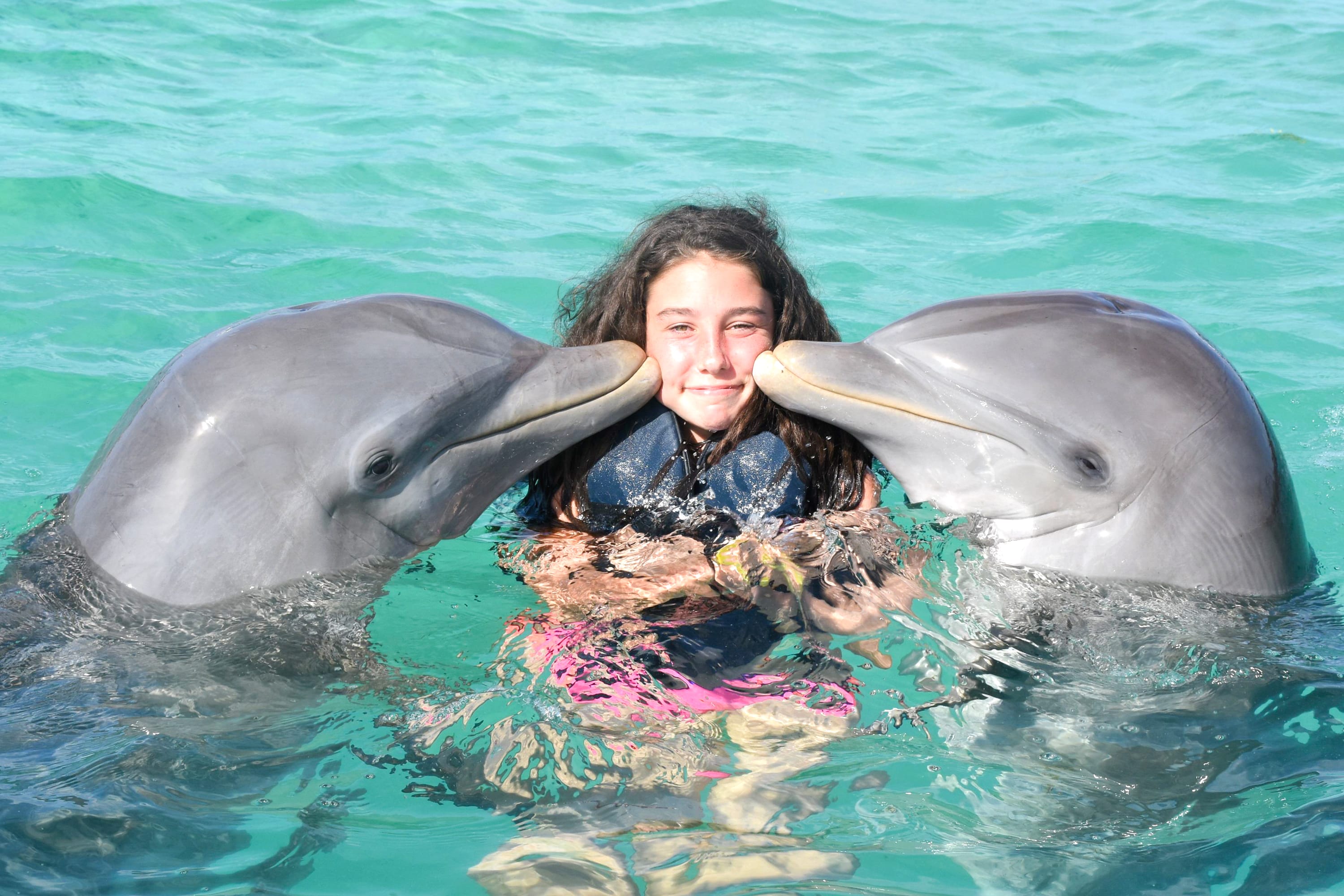 Image of Animal, Dolphin, Mammal, Sea Life, Person, Swimming, Water, Water Sports, Vest, Adult, Female, Woman, Lifejacket,