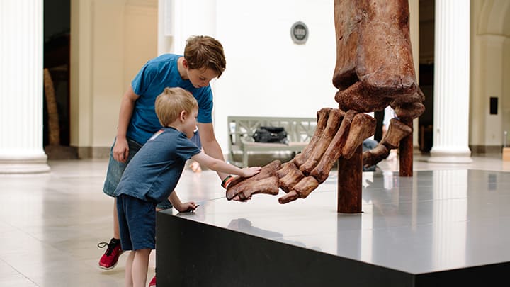 Image of Indoors, Museum, Boy, Child, Male, Person, 