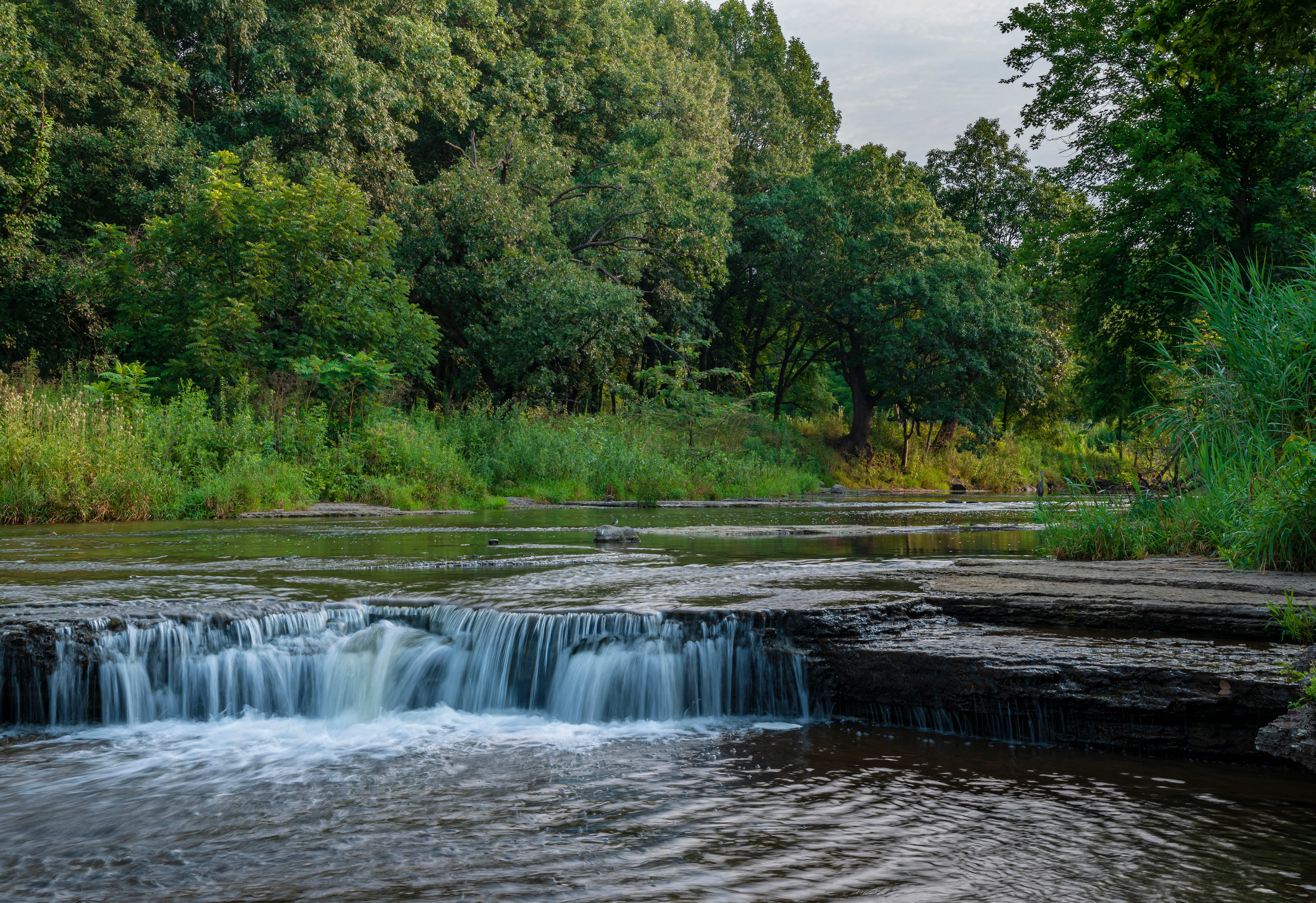 Image of Nature, Outdoors, Water, Creek, Stream, Scenery, 