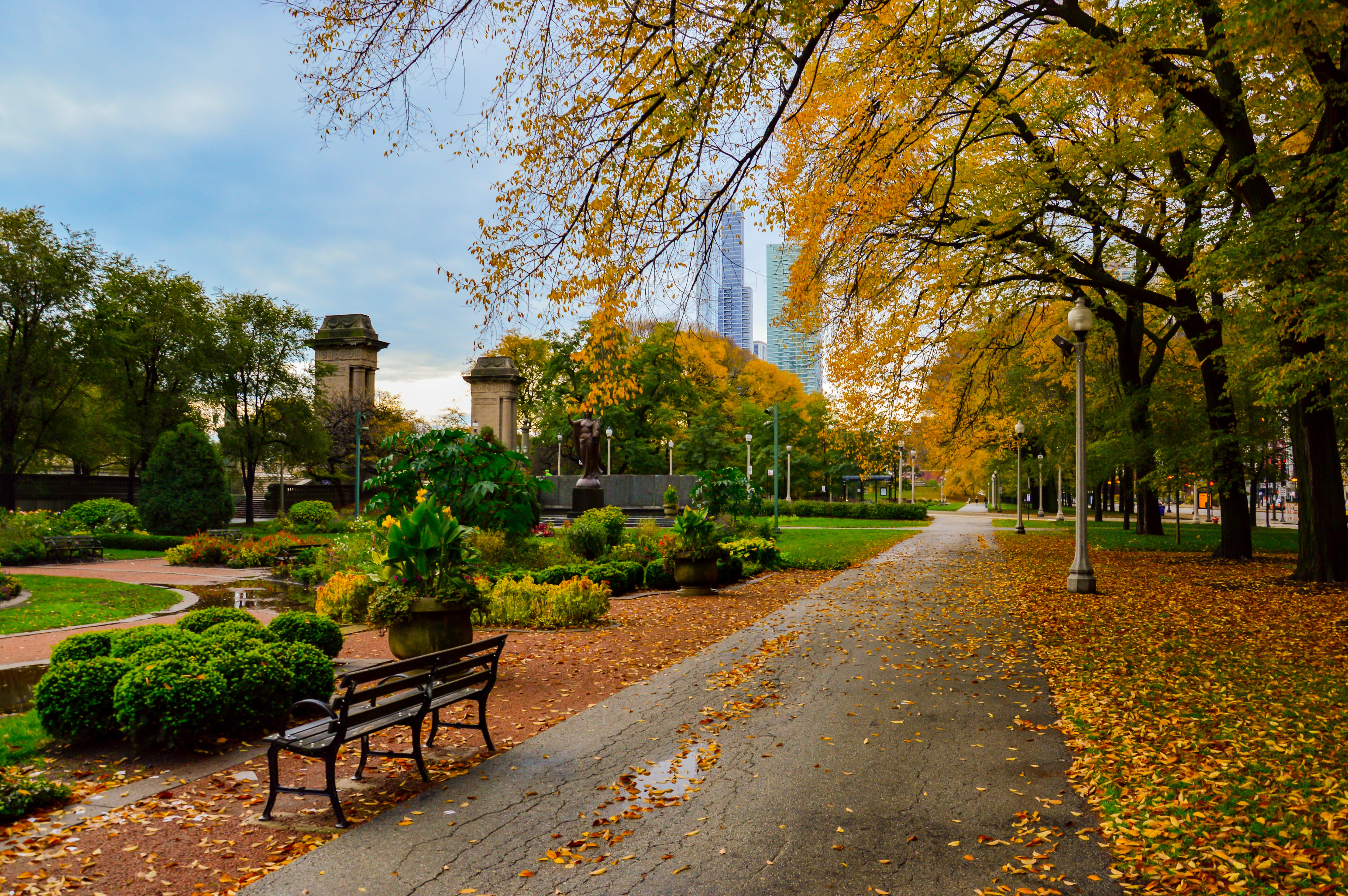 Image of Bench, Furniture, Plant, Grass, Nature, Outdoors, Park, Autumn, Tree, Tree Trunk, 