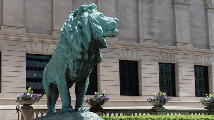 Image of Plant, Potted Plant, Flower, Geranium, Animal, Lion, Flower Arrangement, Office Building, 