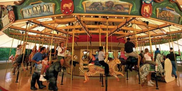 Image of Play, Amusement Park, Person, Shoe, Carousel, 