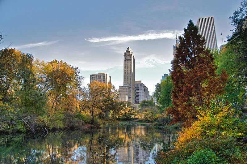 Image of City, Nature, Outdoors, Pond, Water, Scenery, Landscape, Urban, Cityscape, Tree, Grass, Park, Fir, 