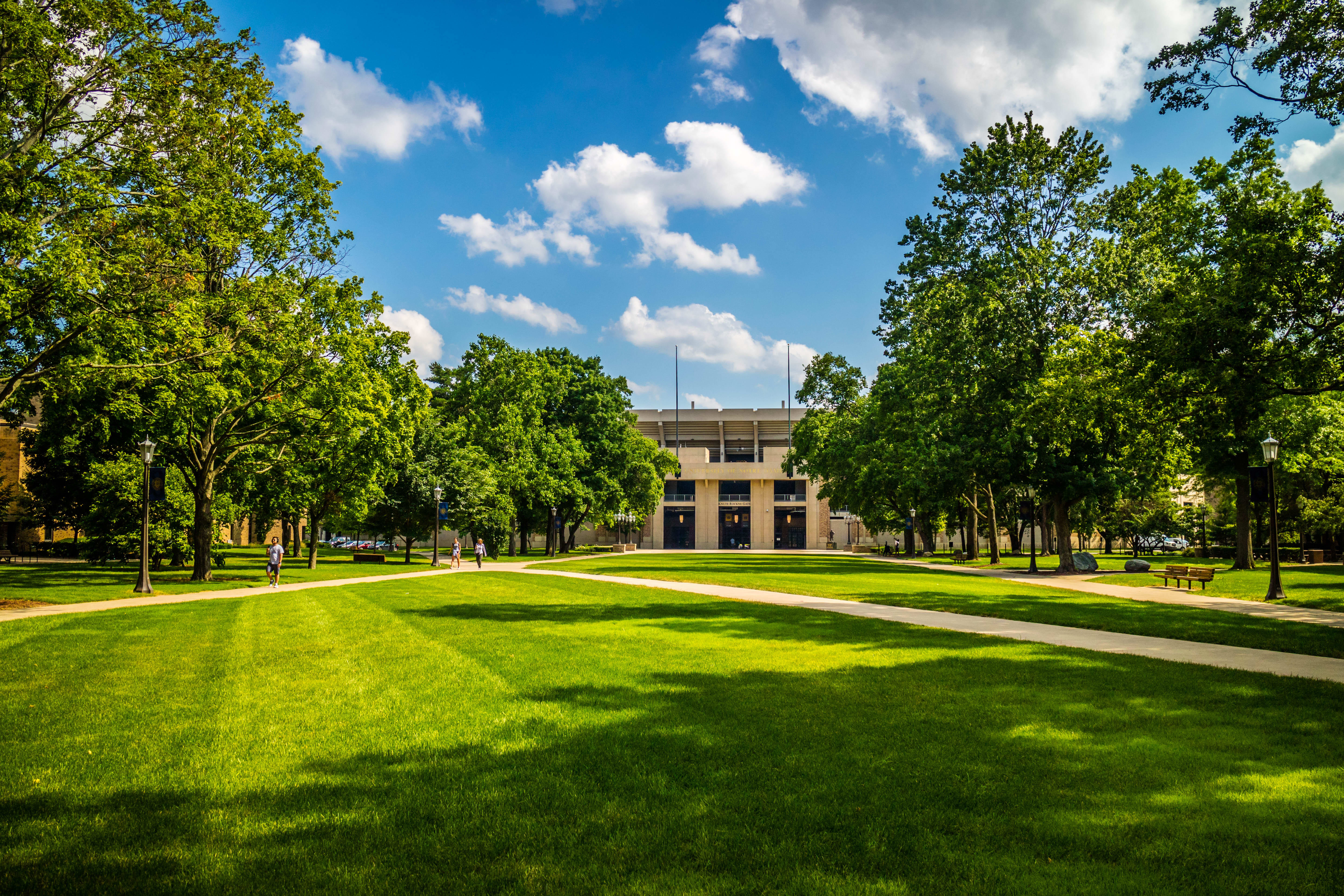 Image of Grass, Building, Campus, Lawn, Person, Bench, Nature, Outdoors, Park, 