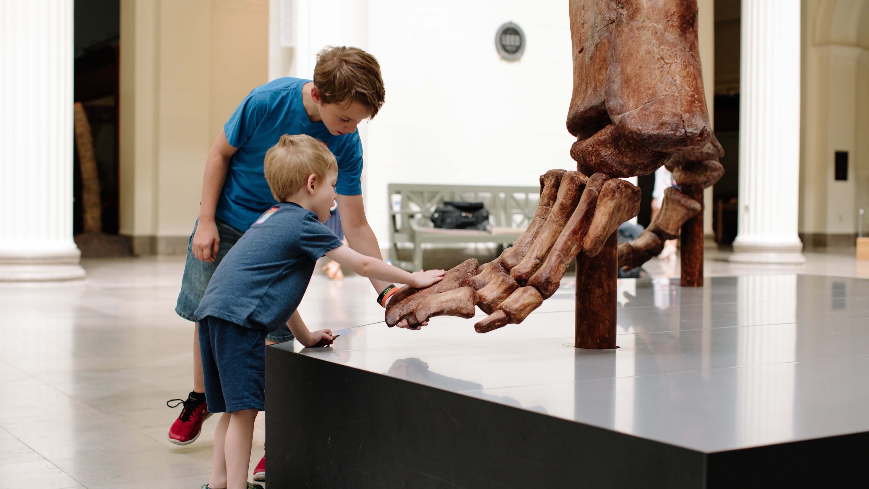 Image of Indoors, Museum, Boy, Child, Male, Person, 