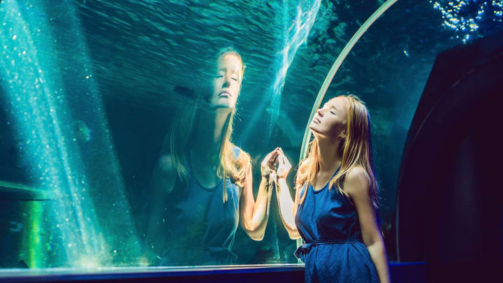 Image of Animal, Aquarium, Fish, Sea Life, Water, Female, Girl, Person, Teen, Adult, Woman, Outdoors, 
