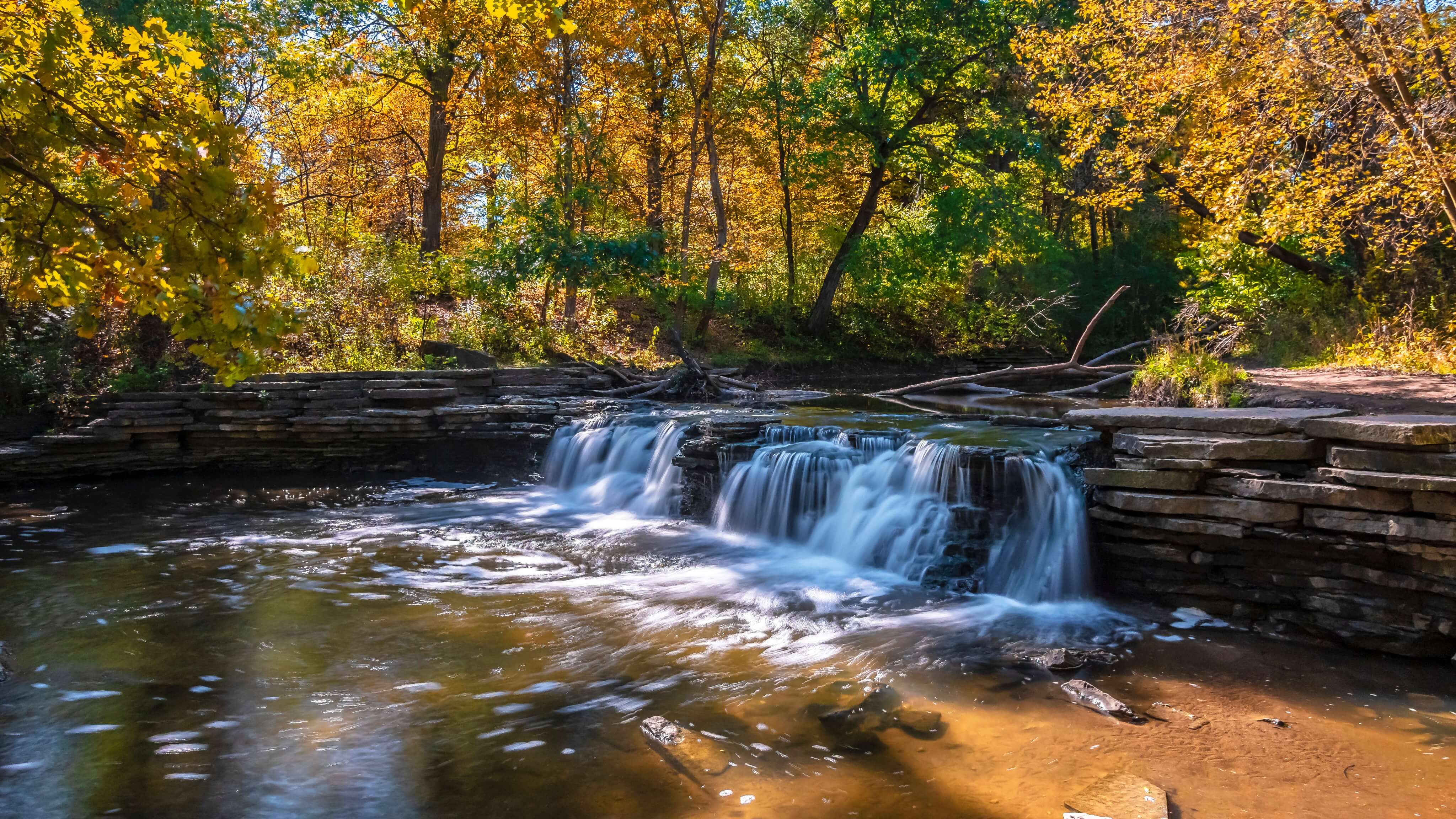 Image of Nature, Outdoors, Water, Scenery, Stream, Autumn, Creek, Leaf, 