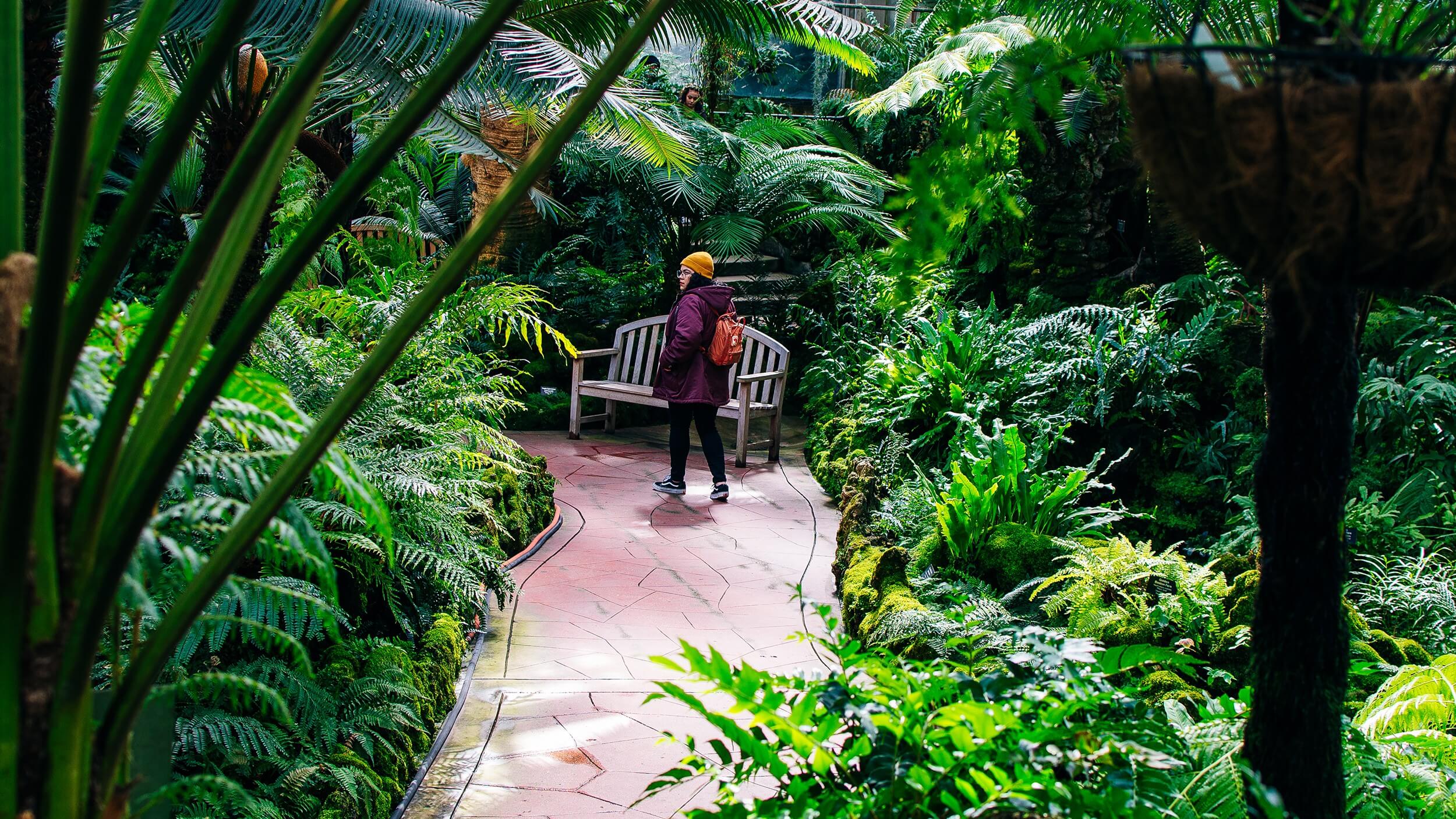 Image of Garden, Nature, Outdoors, Vegetation, Land, Rainforest, Tree, Jungle, Person, Bench, Shoe, Hat, Grass, Park, Path, Fern, Backpack, 