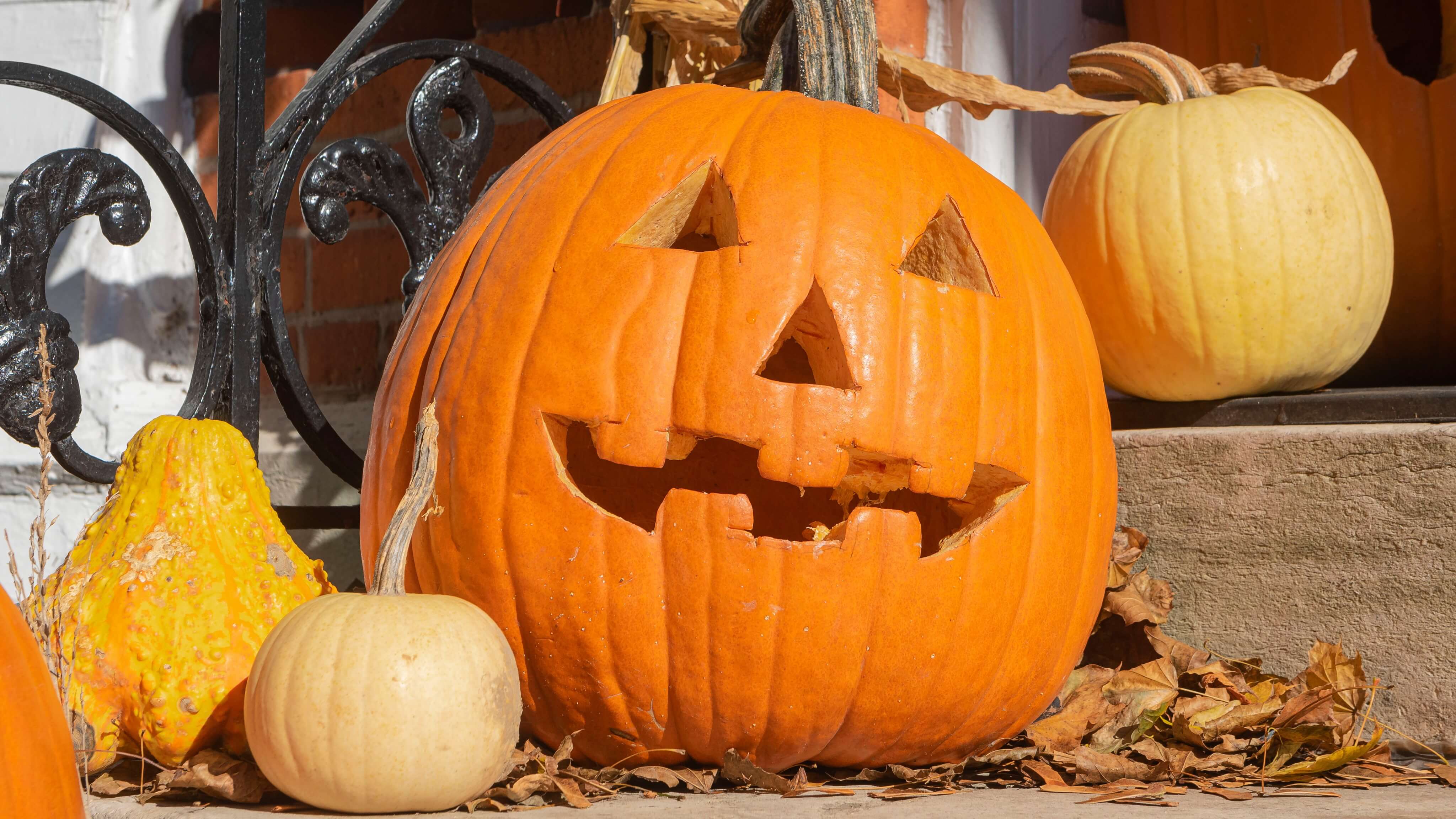 Image of Festival, Halloween, Jack-o-lantern, 