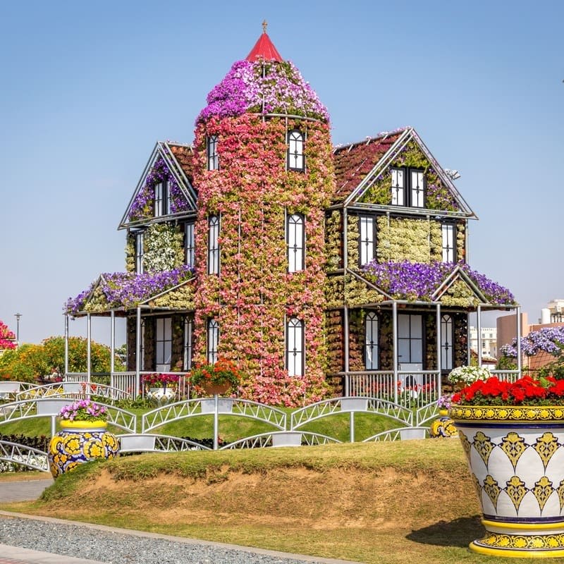 Image of Potted Plant, Cottage, House, Housing, Villa, Garden, Nature, Outdoors, Grass,