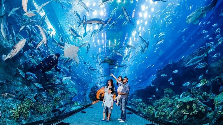 Image of Animal, Aquarium, Fish, Sea Life, Water, Aquatic, Nature, Outdoors, Person, Adult, Male, Man, Shoe, 