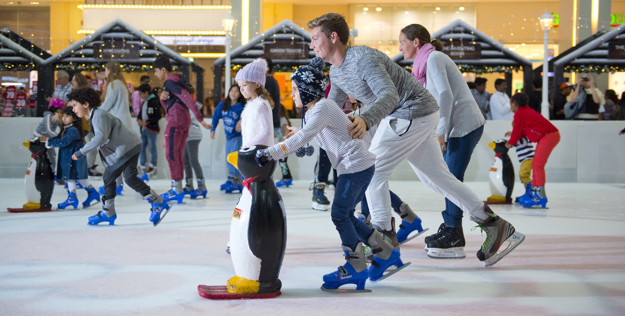 Image of Shoe, Ice Skating, Ice Skating Dancing, Performer, Person, Rink, Skating, Adult, Male, Man, Boy, Child, Female, Woman, Bird, Penguin, 