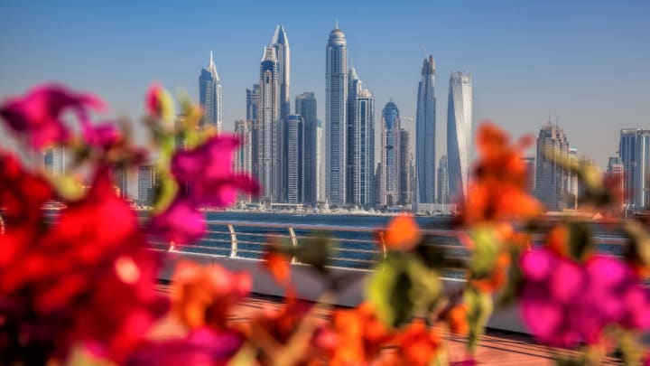 Image of City, Nature, Outdoors, Scenery, Cityscape, Urban, Landscape, Metropolis, High Rise, Panoramic, Adult, Female, Person, Woman,