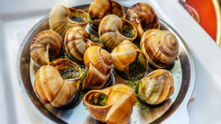 Image of Animal, Clam, Food, Sea Life, Seafood, Seashell, Food Presentation, Insect, 