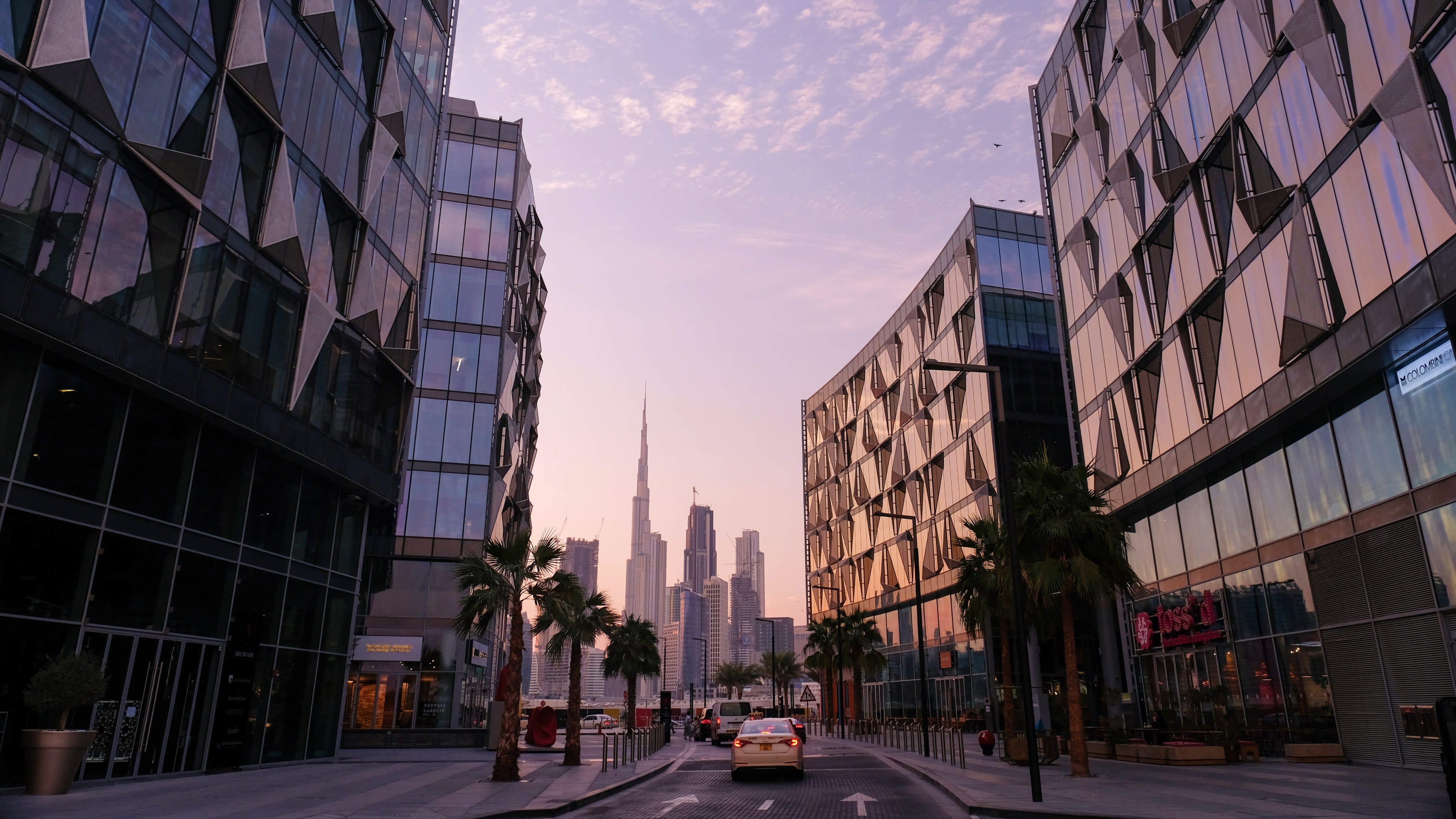 Image of City, Road, Street, Urban, Condo, Housing, Metropolis, Neighborhood, High Rise, Office Building, Cityscape, Plant, Car, Apartment Building, Downtown,