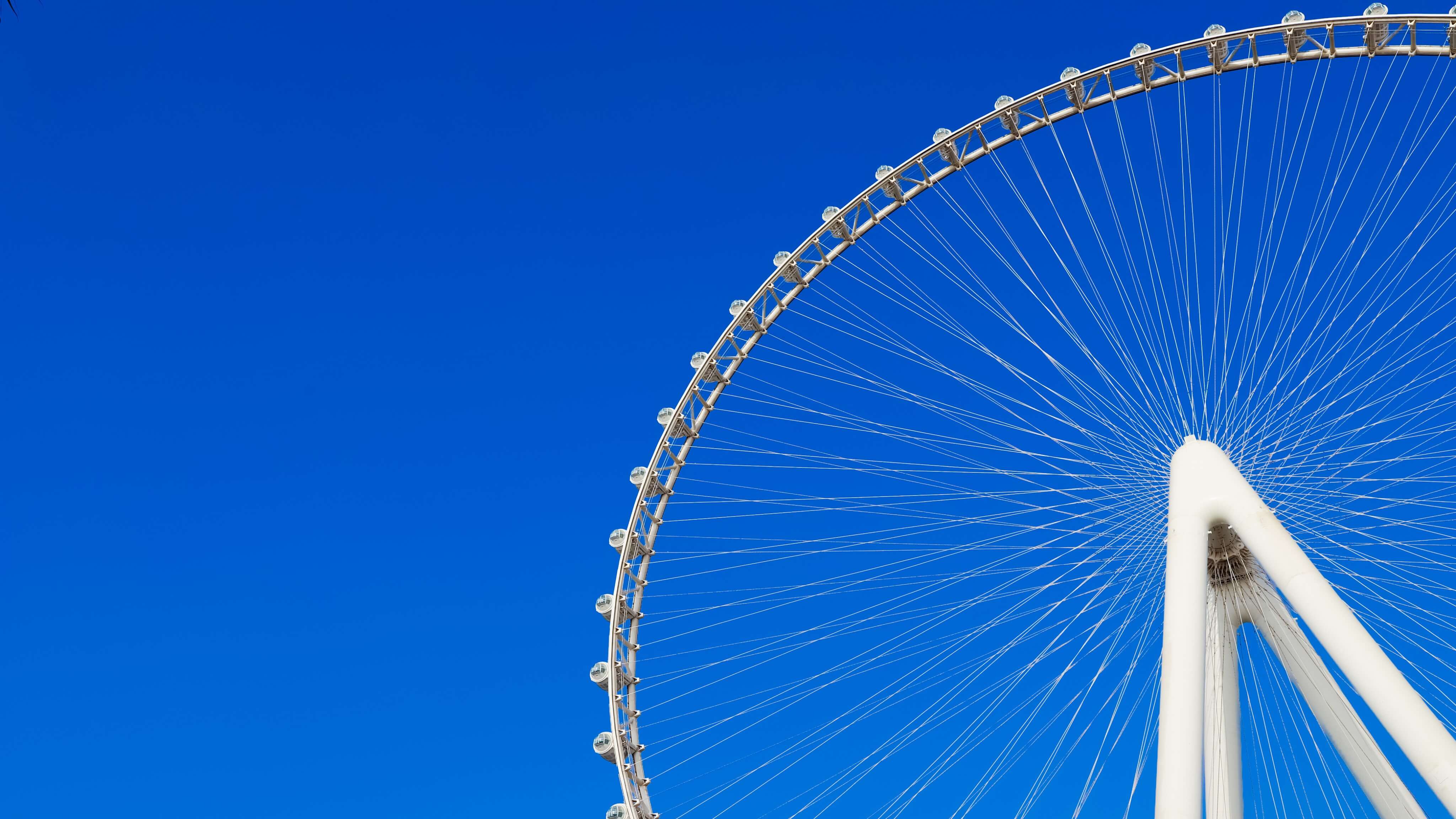 Image of Amusement Park, Ferris Wheel, Fun, Bird, 