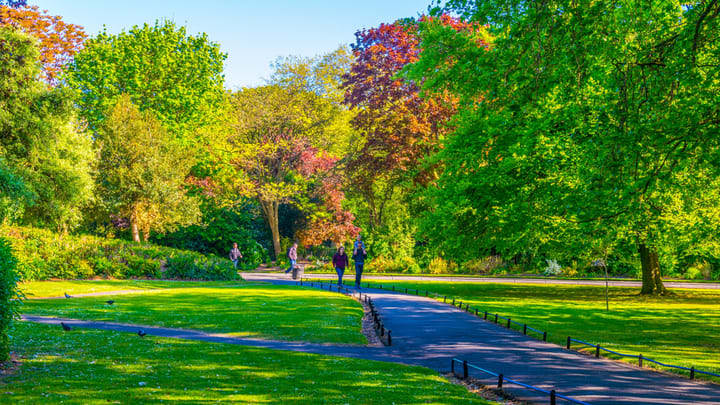 Image of Grass, Nature, Outdoors, Park, Scenery, Person, Autumn, 