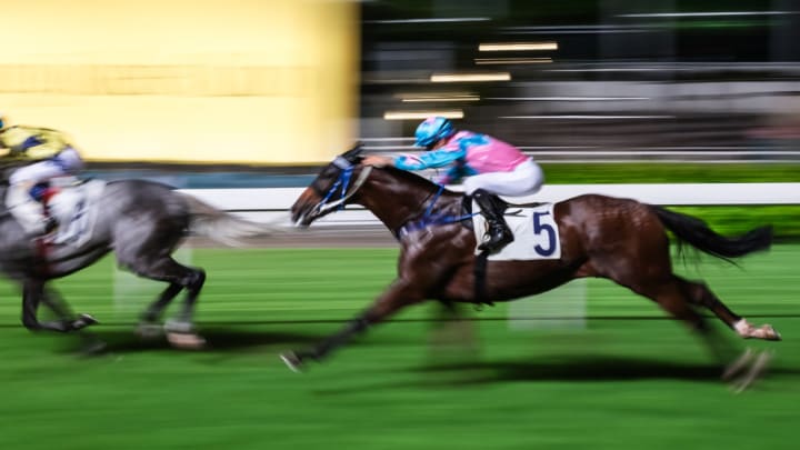 Image of Animal, Equestrian, Horse, Mammal, Person, People, Adult, Female, Woman, Boy, Child, Male, Helmet,