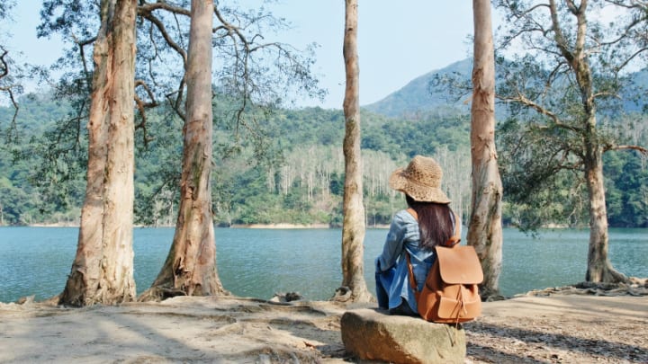 Image of Bag, Adult, Female, Person, Woman, Sitting, Backpack, Nature, Outdoors, Scenery, Vegetation, Backpacking, 