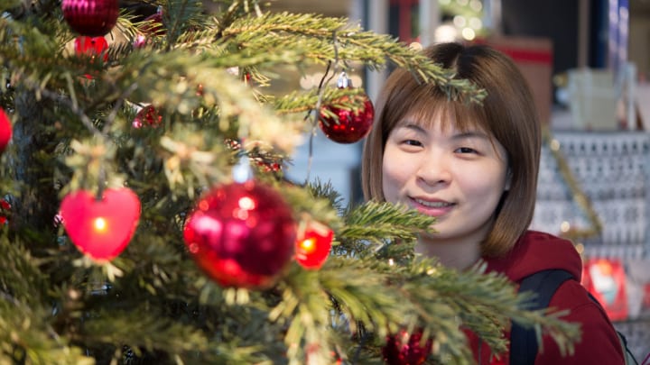 Image of Tree, Adult, Female, Person, Woman, Accessories, Face, Happy, Head, Smile, Conifer, 