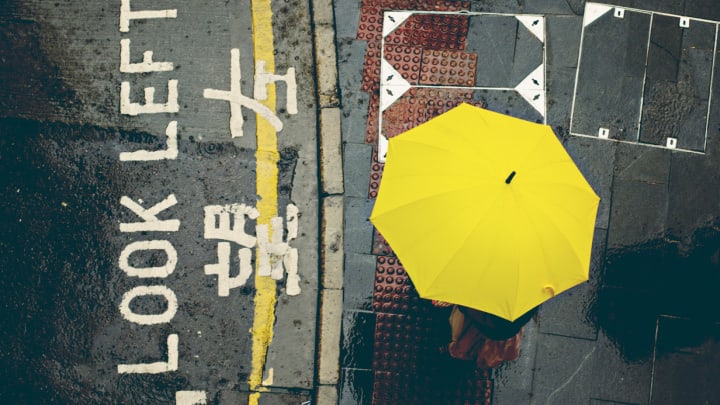 Image of Canopy, Adult, Female, Person, Woman, Road, 