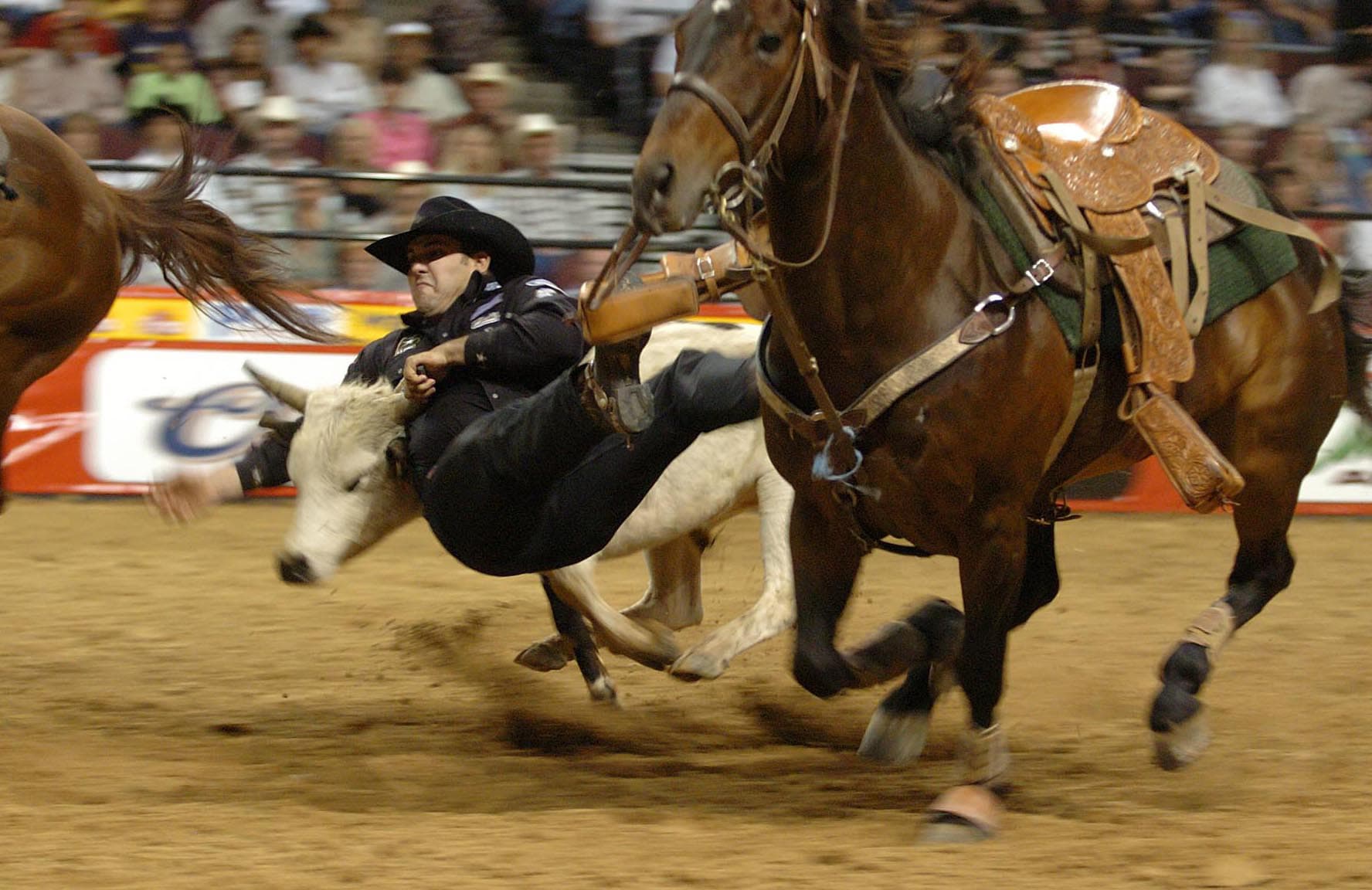 Image of Rodeo, Animal, Horse, Mammal, Adult, Female, Person, Woman, Male, Man,