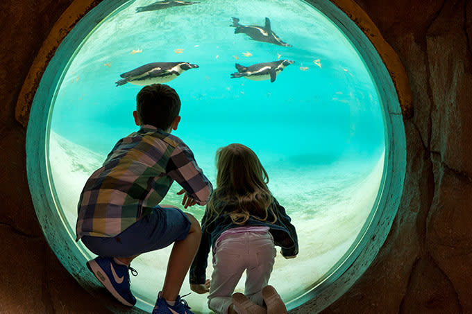 Top London Zoo facts that you didn't already know! | The London Pass®