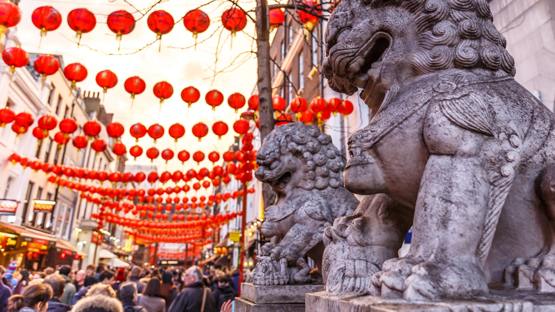 Image of Person, Lion, Lamp, 