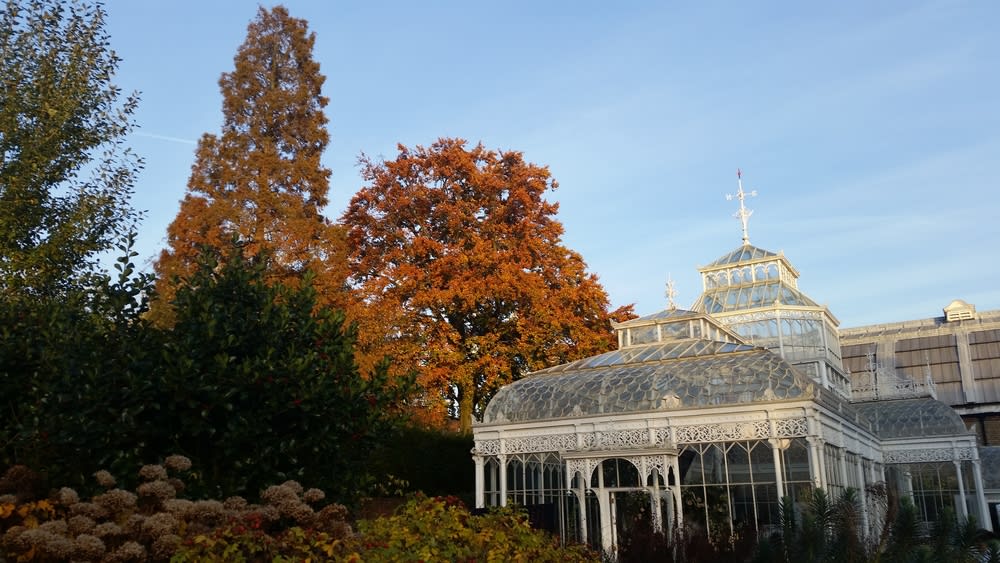 Image of Tree, Garden, Nature, Outdoors, Building, Monastery, Vegetation, Grass, 