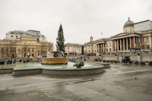 Image of City, Urban, Fountain, Water, Fir, Tree, Metropolis, Person, 