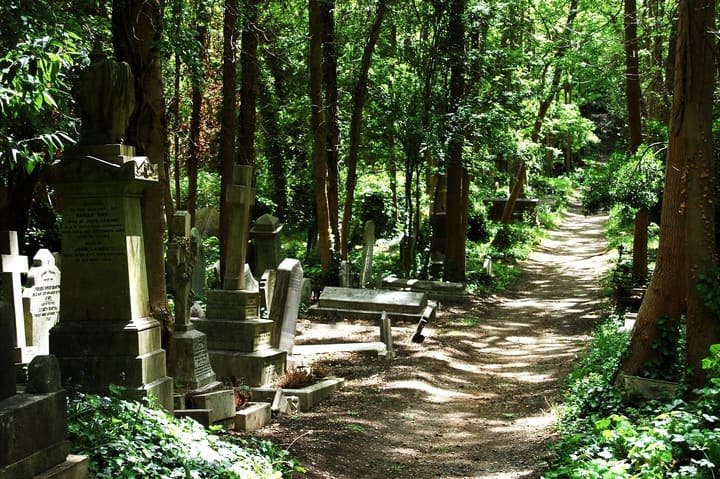 Image of Outdoors, Graveyard, Vegetation, Grove, Land, Nature, Tree, Woodland, Path, Trail, 