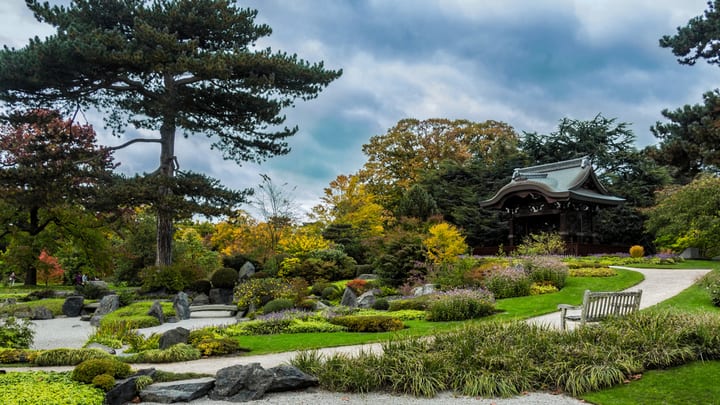 Image of Garden, Nature, Outdoors, Grass, Park, Tree, Bench, Fir, Scenery, 