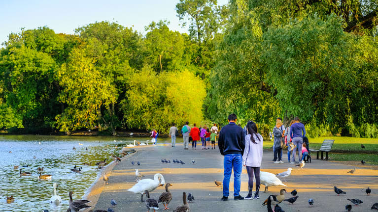 Image of Nature, Outdoors, Scenery, Grass, Park, Person, Walking, Bench, Animal, Bird, 