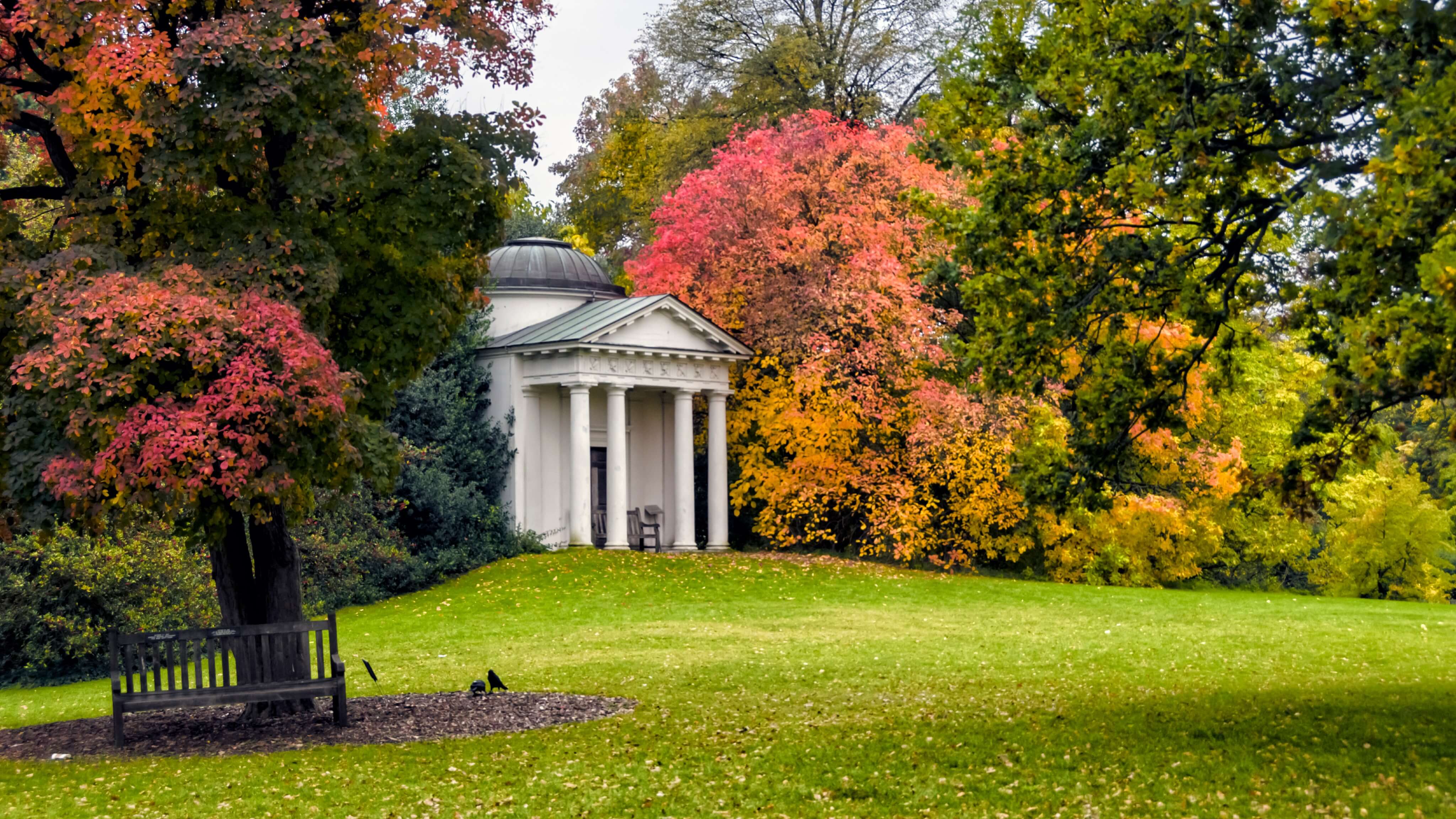 Image of Bench, Furniture, Grass, Autumn, 