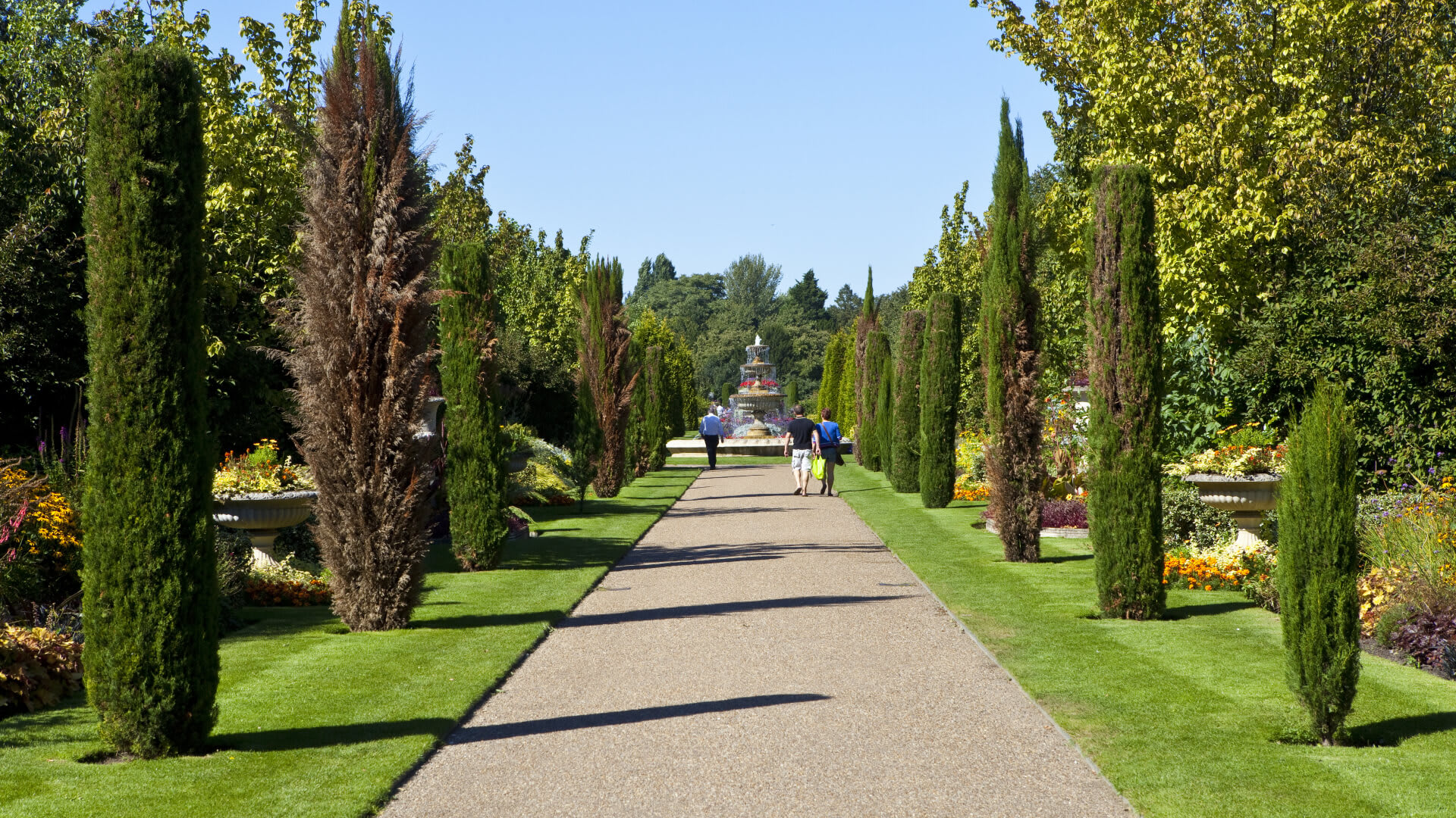 Image of Grass, Nature, Outdoors, Park, Plant, Tree, Fir, Person, Garden, Conifer, Scenery, Path, 