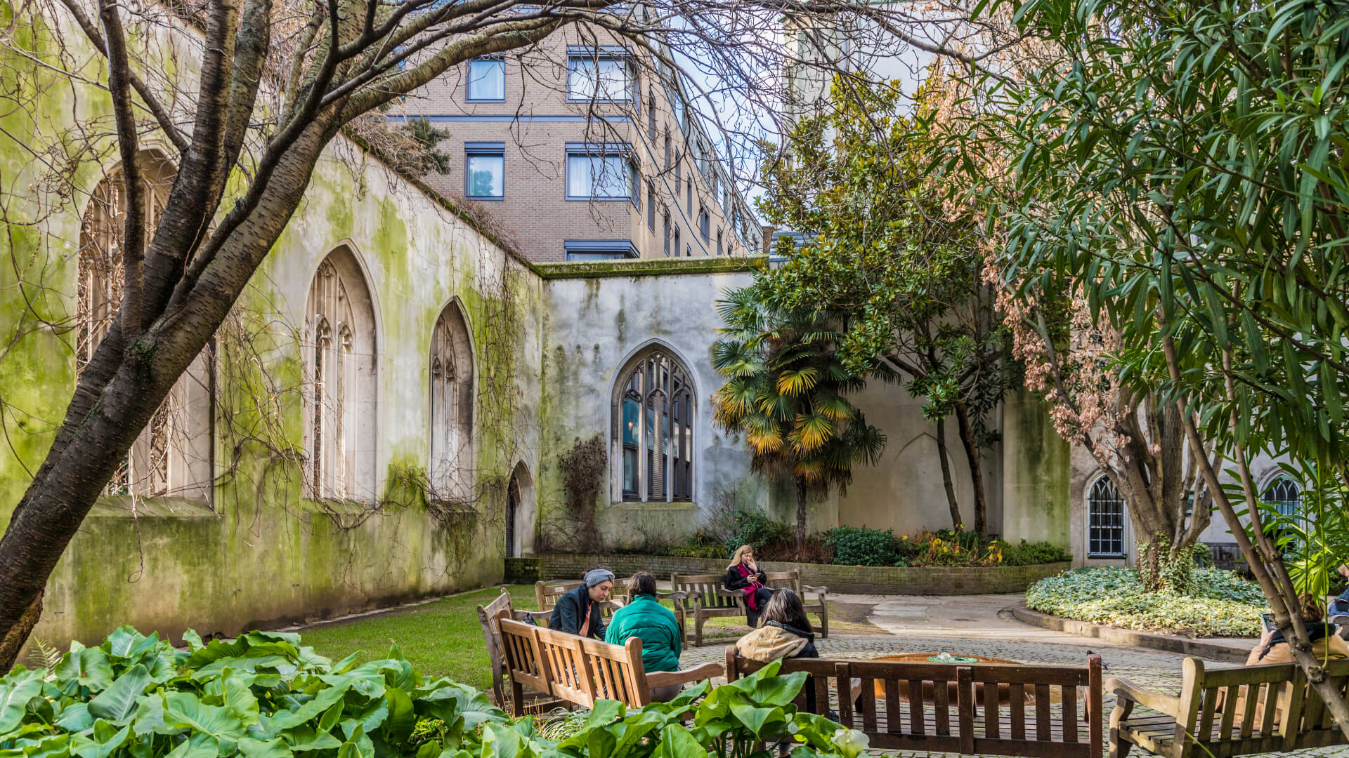 Image of Garden, Nature, Outdoors, Grass, House, Housing, Villa, Tree, Tree Trunk, Person, Bench, Furniture, Patio, Neighborhood, Arch, 