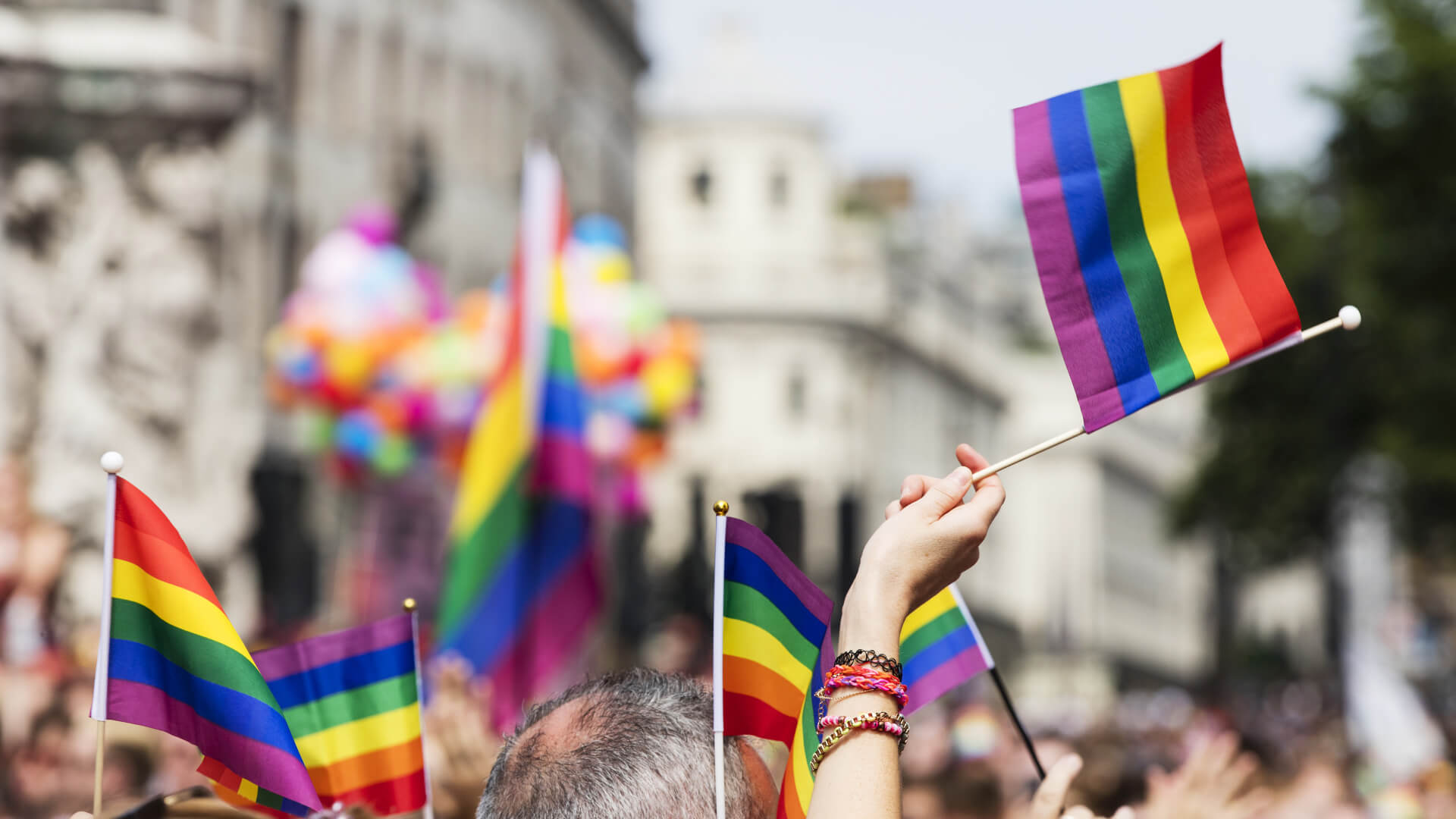 Image of Parade, Person, Pride Parade, Boy, Child, Male, 