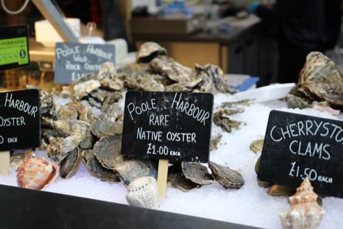 Image of Food, Seafood, Adult, Female, Person, Woman, Animal, Sea Life, Oyster, Seashell, 