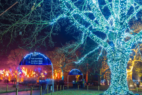 Image of Lighting, Planetarium, Grass, Nature, Outdoors, Park, City, Scenery, Urban, Person, 