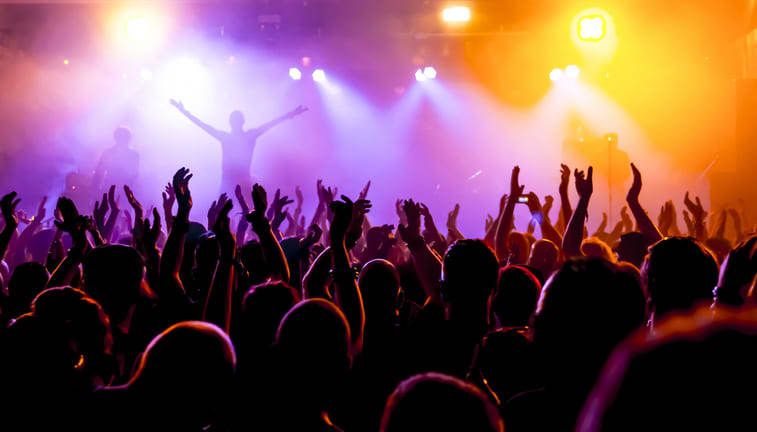 Image of Concert, Crowd, Person, Urban, Club, Adult, Male, Man, Rock Concert, 