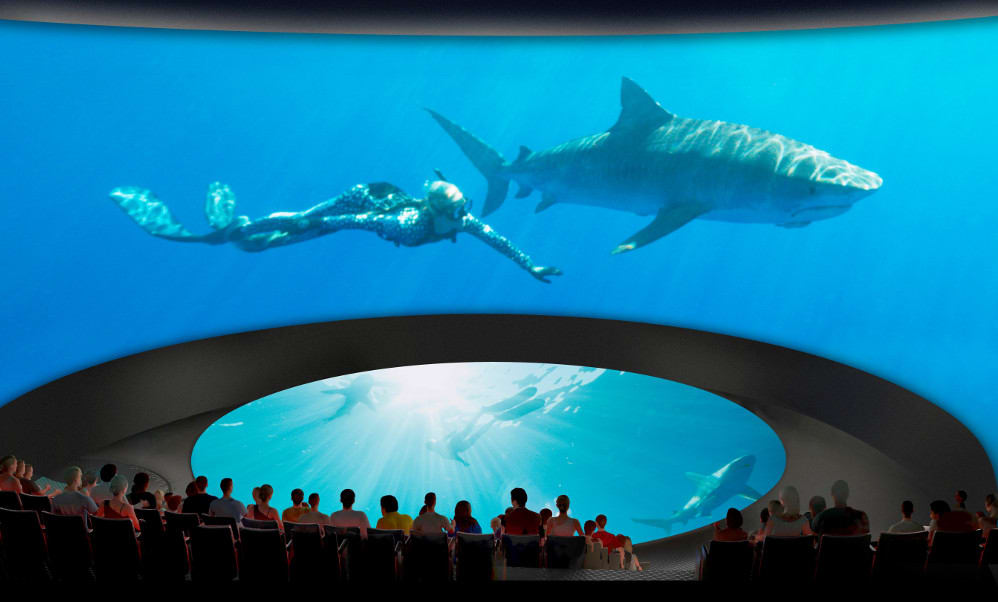 Image of Aquatic, Water, Animal, Aquarium, Fish, Sea Life, Person, Shark, Adult, Male, Man, Outdoors, Swimming, Nature,