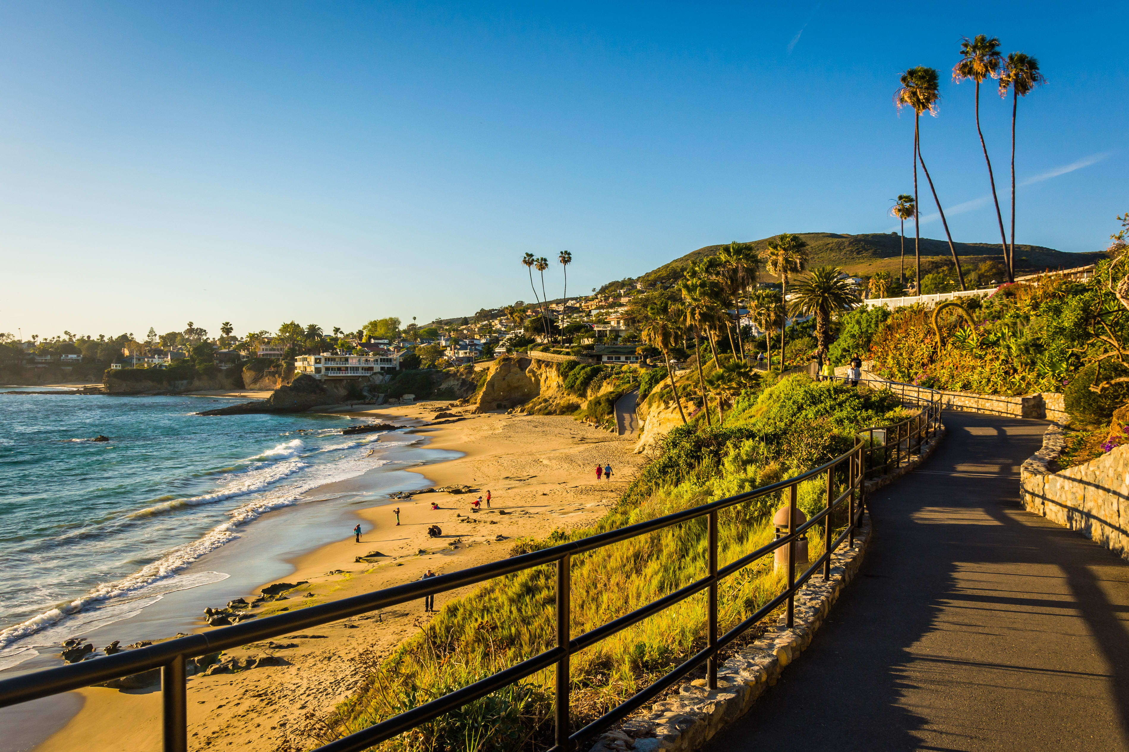 Image of Summer, Nature, Outdoors, Scenery, Path, Boardwalk, Bridge, Railing, Promontory, Water, Handrail, Waterfront, Sea, Palm Tree, Tree, Person, 