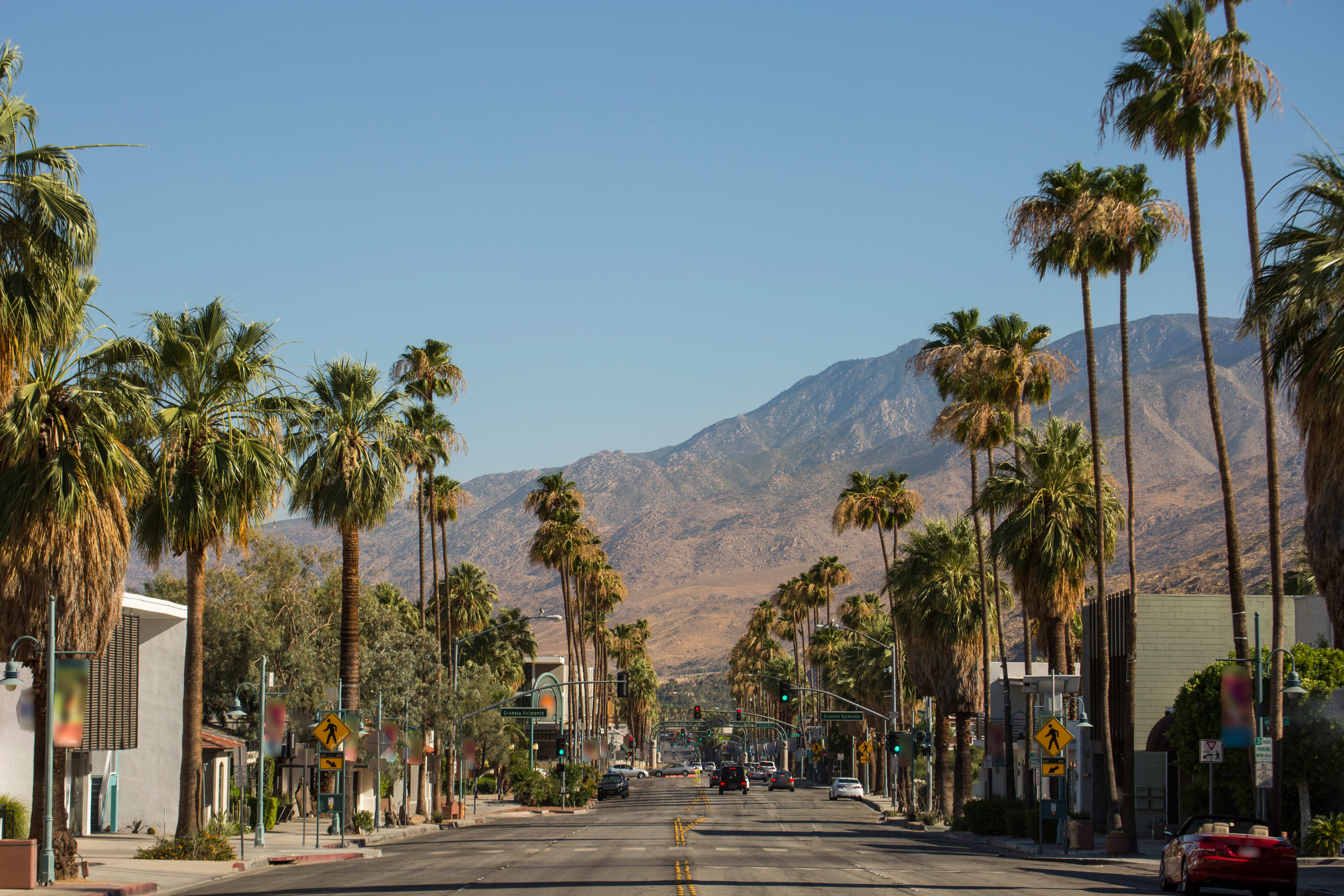 Image of Summer, Palm Tree, Plant, Tree, Road, City, Street, Urban, Car, Freeway, Highway, Nature, Outdoors, 